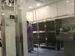 -伟伟宠物医院·CT影像中心·瑞派犬猫综合性门诊(汉口总院)