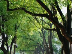 -中南财经政法大学(首义校区)