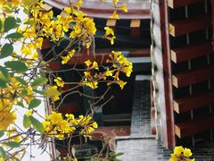 -华西坝(地铁站)