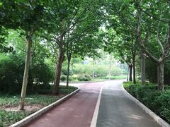 -珞珈山-售票处