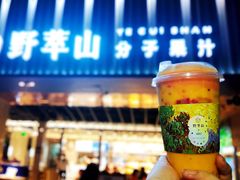 -野萃山·潮汕厚果汁(十亩地店)