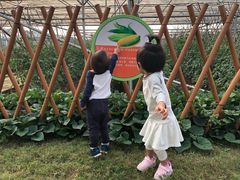 -迪茵湖田家舍生态农场