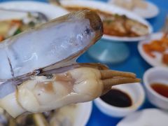 鲜到眉毛都掉下来的蛏子-夏军农家乐