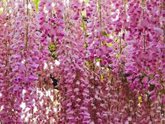 -青州市云门山风景区