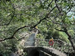 -东莞市大岭山森林公园