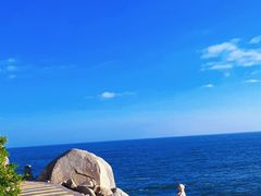 -广东惠东海龟国家级自然保护区