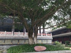 景点-大佛禅院