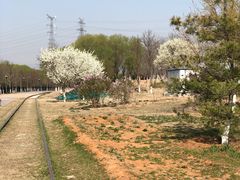 -永定河休闲森林公园