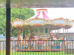 -上海海湾国家森林公园