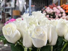 -循礼门鲜花花市(武汉循礼门店)