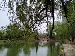 -渭滨公园