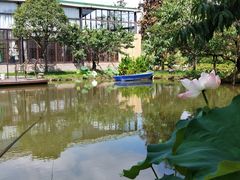 -洪湖家庭农场·团建·露营·会议