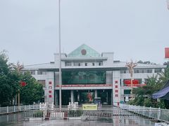 -打洛口岸