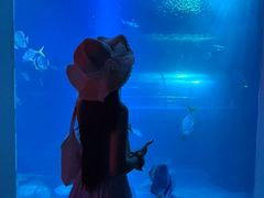 -太平洋海底世界