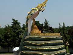 -洛阳白马寺