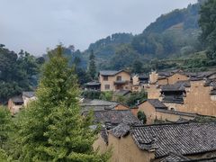 -杨家堂村