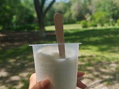 -萨朗刀克冰淇淋雪花凉(植物园店)