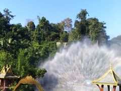 -西双版纳原始森林公园