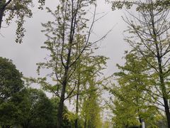 -湖南省地质博物馆