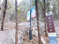 -云龙山