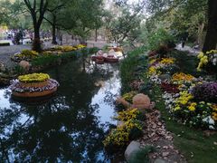 -上海共青森林公园