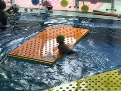 -尼莫亲子游泳NEMOSWIM(西美中心)