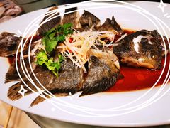 清蒸多宝鱼-北京老铺烤鸭(西稍门店)