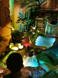 -恐龙探索乐园(磁器口店)