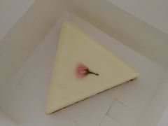 樱花芝士冻-MAISON门前杂货店