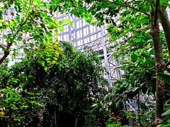-郑州植物园