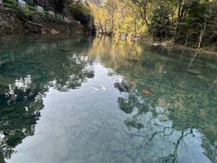 -雁荡山灵峰景区