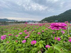 -新安江山水画廊风景区
