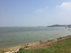 -瑶湖郊野森林公园