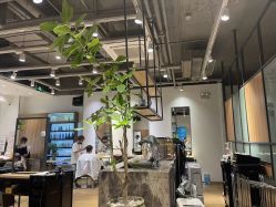 -Mentor Hair Salon