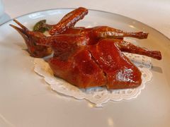 乳鸽-三号黄浦会Canton Table