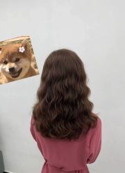 -宝诗护肤造型