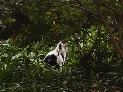 -成都市文殊院