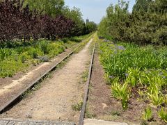-永定河休闲森林公园