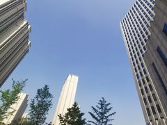 -世东国际