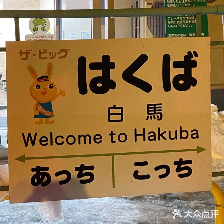 日本长野县白马村滑雪场🎿