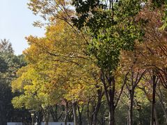 -南翔镇银翔湖公园