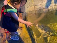 -沈阳海洋探索中心