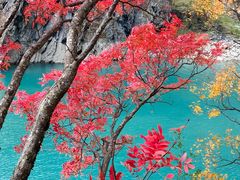 -叠溪松坪沟景区