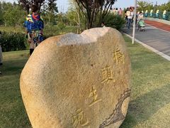 -上海长兴岛郊野公园