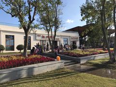 -上海长兴岛郊野公园