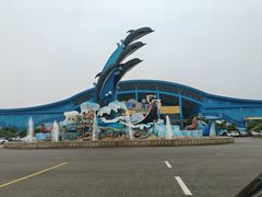 -泉城欧乐堡海洋极地世界