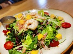 -HELLO 27 意面·沙拉·帕尼尼