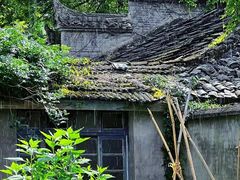 -重庆鸡公煲(朱家角店)