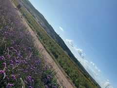 -草原天路(张北县)