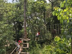 -芦仙山景区-飞越丛林探险乐园